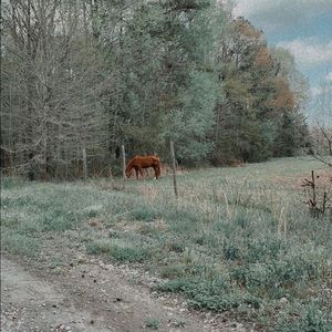 Meet your Posher, Jaycee